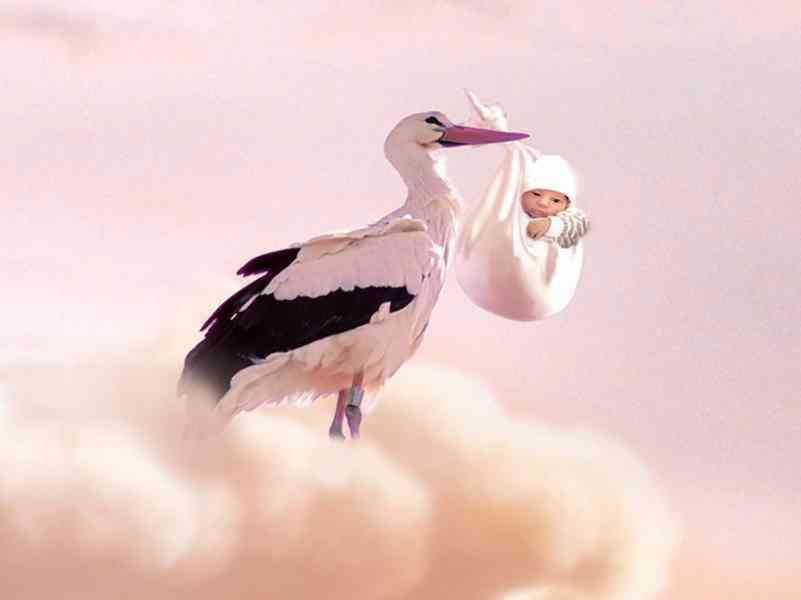 Přímá adopce - foto 1