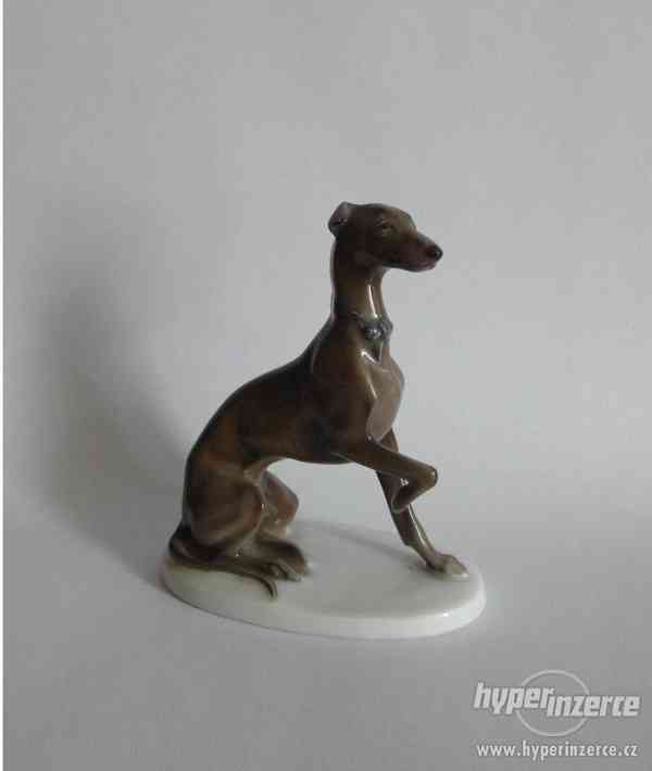 Porcelánová soška chrta. Značka Rosenthal, 1924 - foto 1