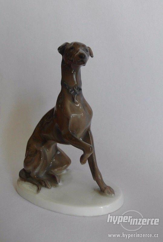 Porcelánová soška chrta. Značka Rosenthal, 1924 - foto 2