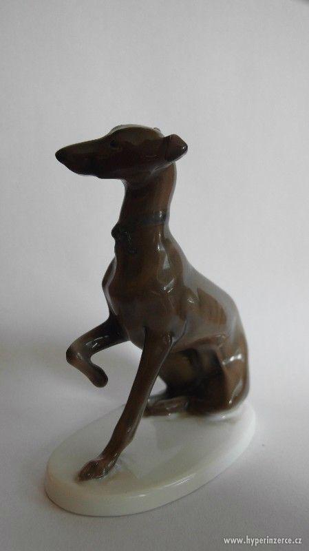 Porcelánová soška chrta. Značka Rosenthal, 1924 - foto 3