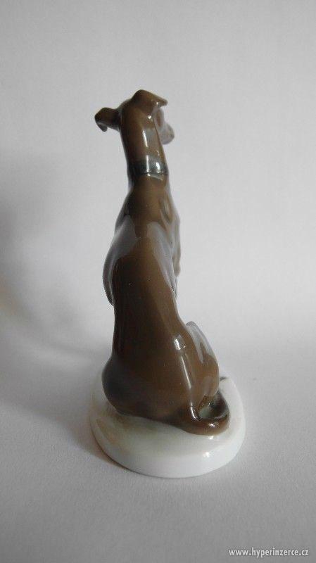 Porcelánová soška chrta. Značka Rosenthal, 1924 - foto 4