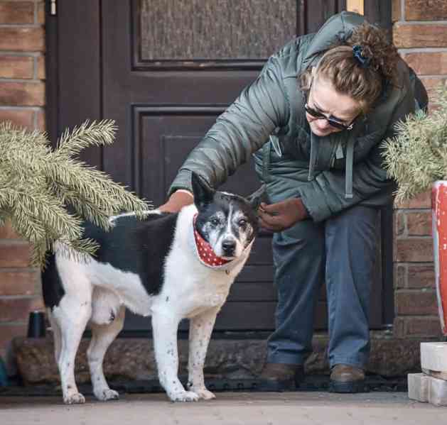 PIŠKOTEK - 18 kg, kastrovaný psík 10 let  - foto 1