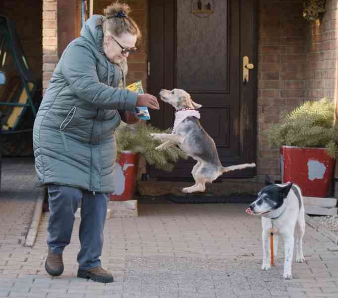 PIŠKOTEK - 18 kg, kastrovaný psík 10 let  - foto 4