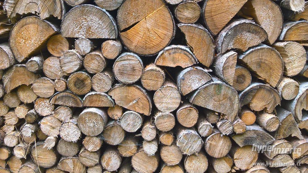 Palivové dřevo tvrdé i měkké (smrk, jasan, jedle) - foto 2