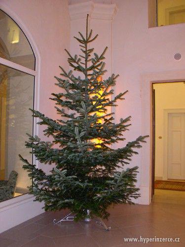 Vánoční stromky-prodej - foto 1