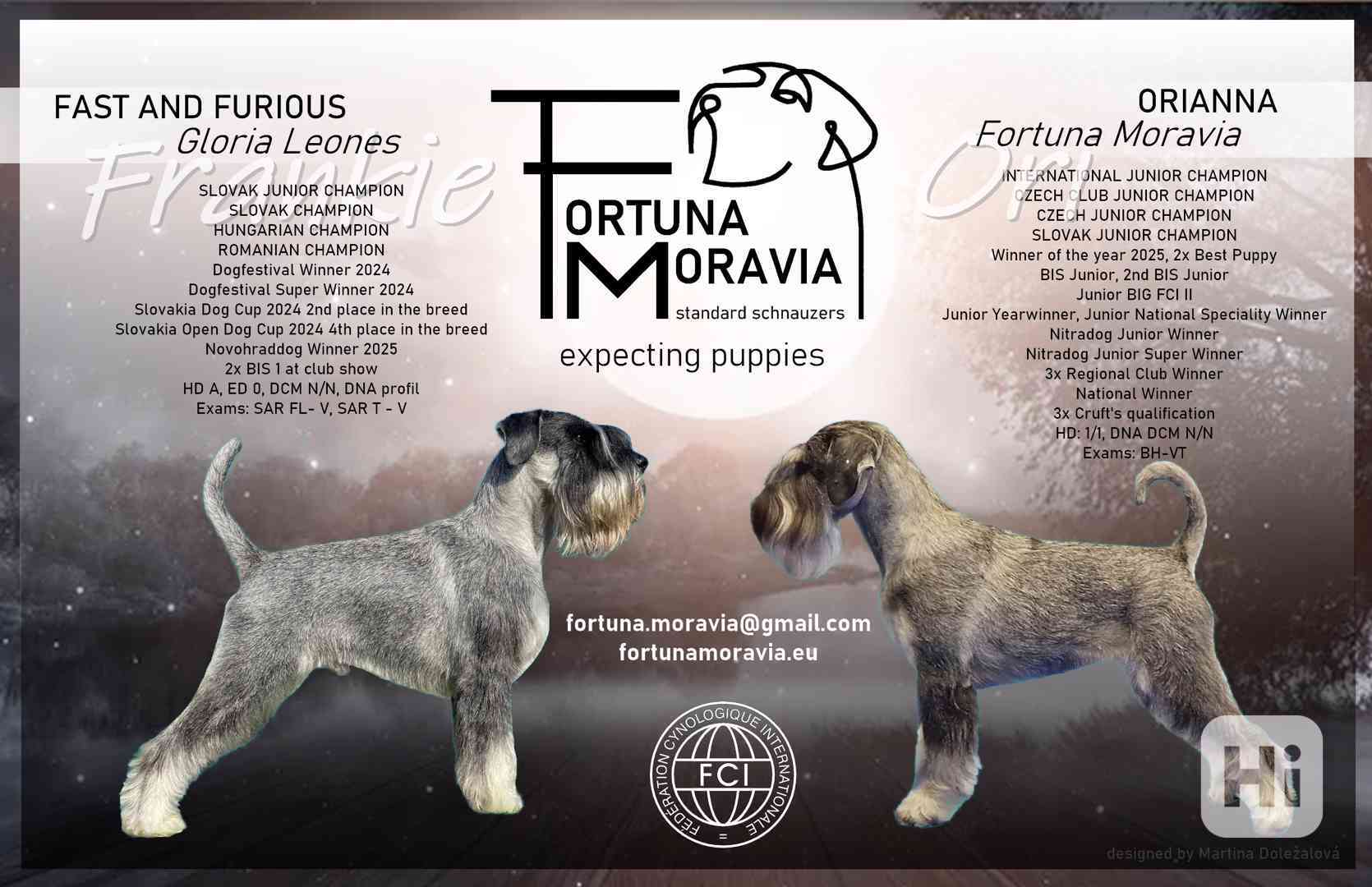 Knírač střední pepř a sůl - foto 1