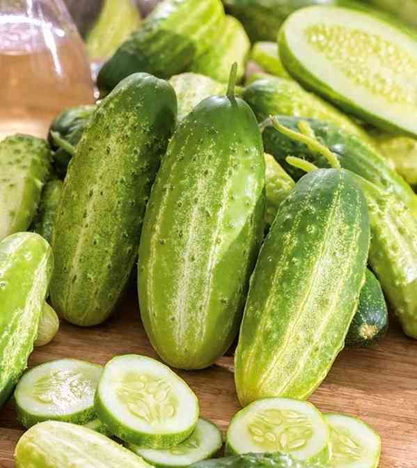 Okurka nakládačka Maksimus F1 - semena