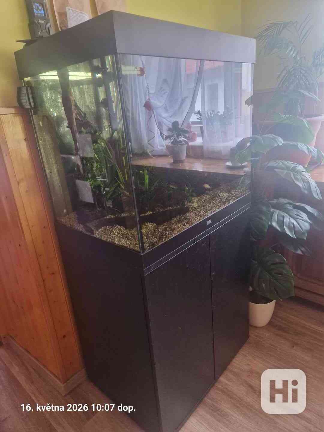 Akvarium  - foto 1