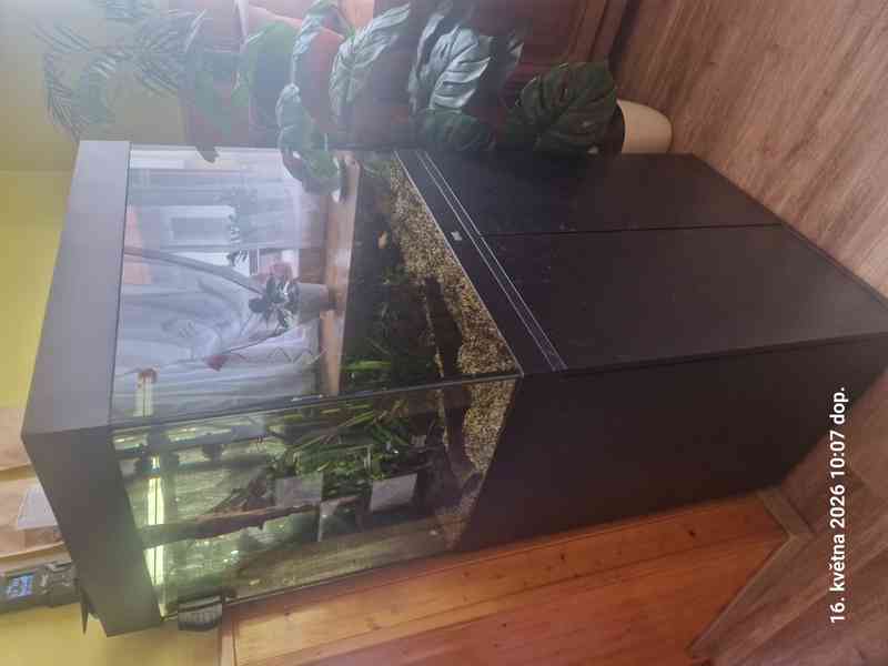 Akvarium  - foto 1
