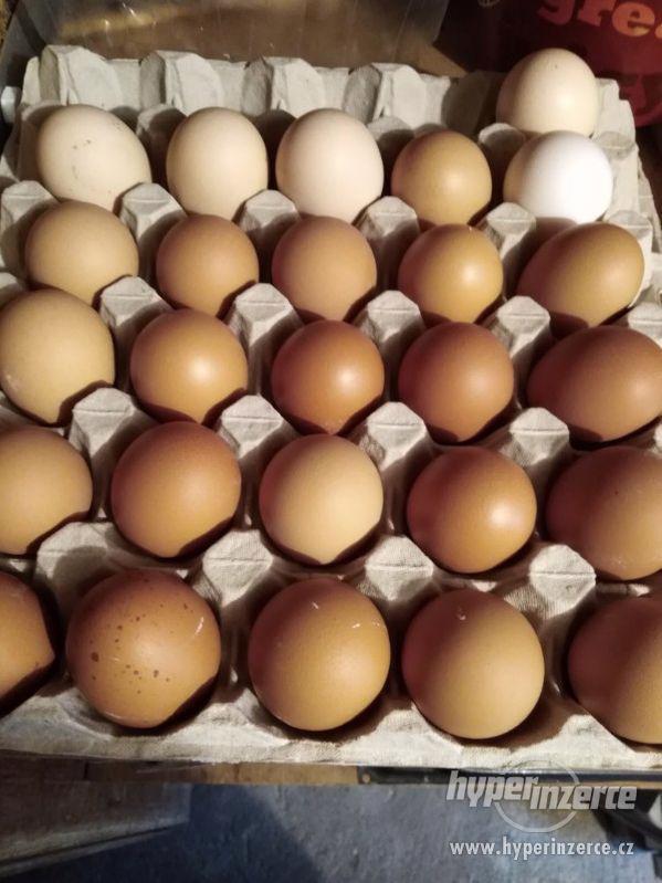 Vajíčka Domácí 1kus 3,50 kc - foto 1