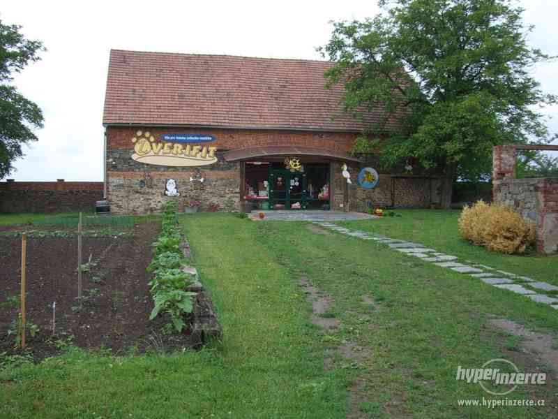 Pronajem stodoly 300m2 / pozemku 6000m2 - foto 10