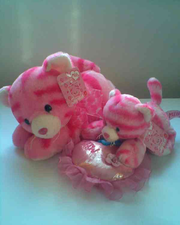 Různé plyšové hračky - foto 5