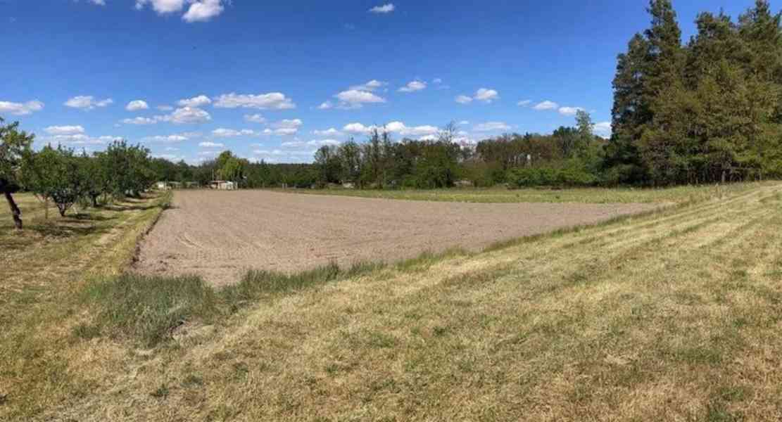 Prodej stavebního pozemku 2600 m2-Bechlín - foto 5