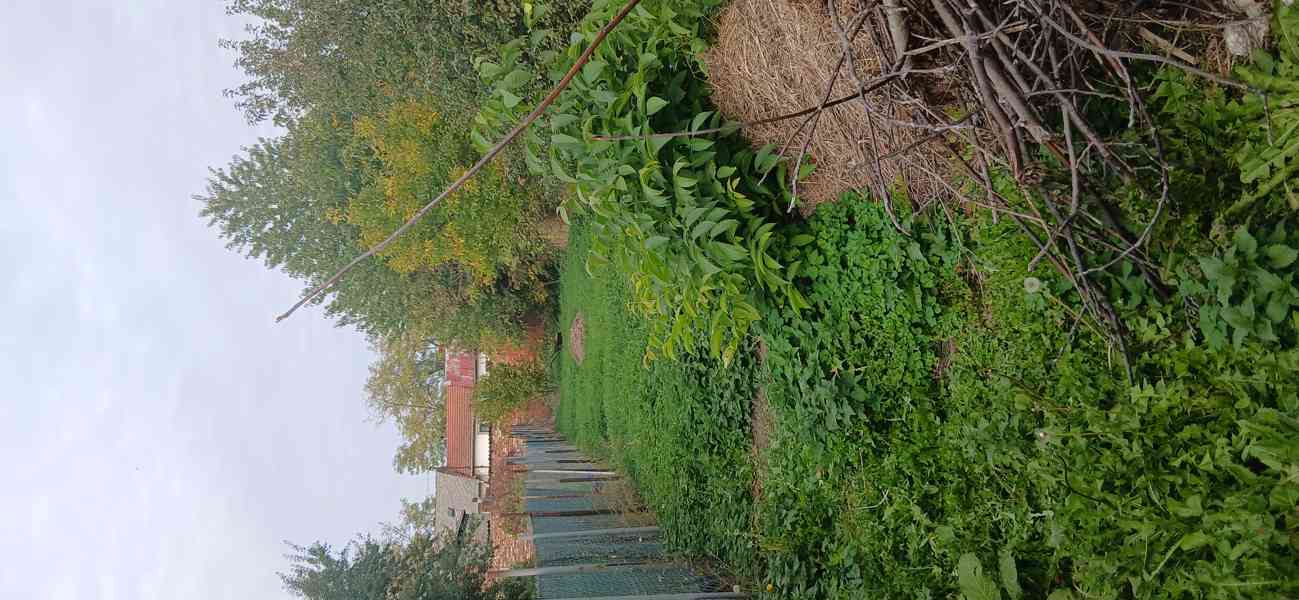 Investiční pozemek (255 m²) – Dobromilice - foto 5