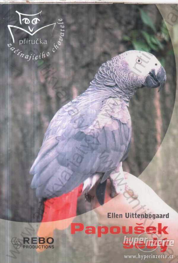 Papoušek šedý Ellen Uittenboagaard 2005 - foto 1