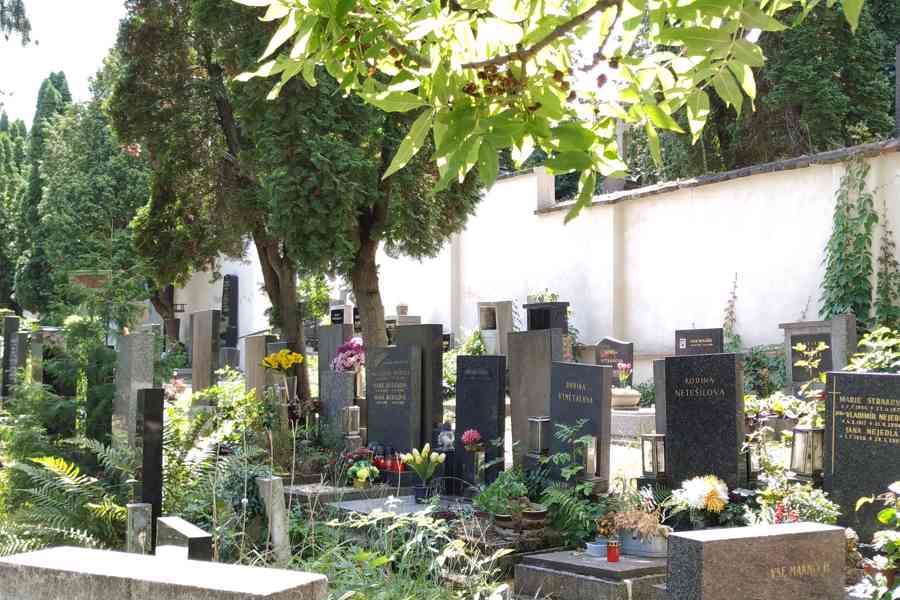 Hrob Praha - Holešovice - foto 2