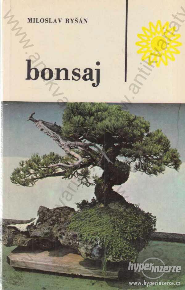 Bonsaj Miloslav Ryšán SZN 1989 - foto 1