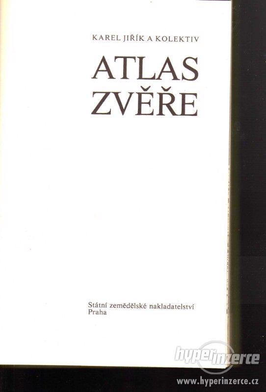 Atlas zvěře Karel Jiřík a kolektiv - 1.vydání - 1980 - foto 2