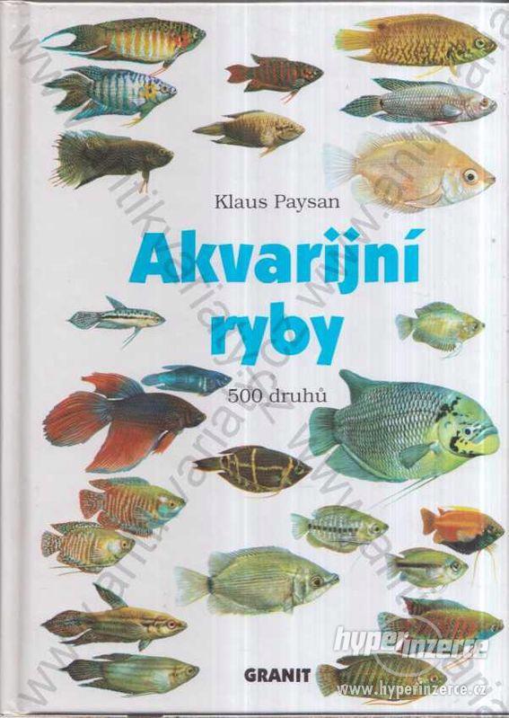 Akvarijní ryby Klaus Paysan 2003 Granit, Praha - foto 1
