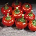 Chilli paprička large red cherry - semena za 22 kč - foto 1