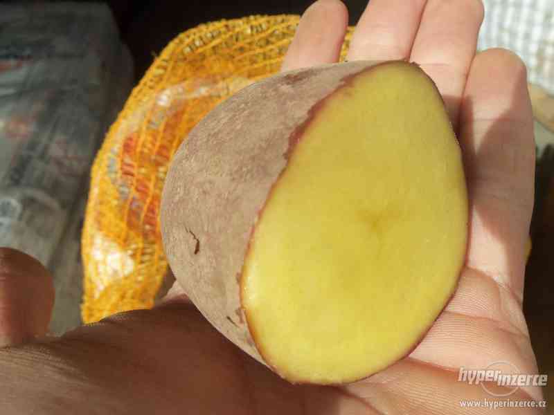 Prodám kvalitní konzumní brambory 9kč/kg - foto 1