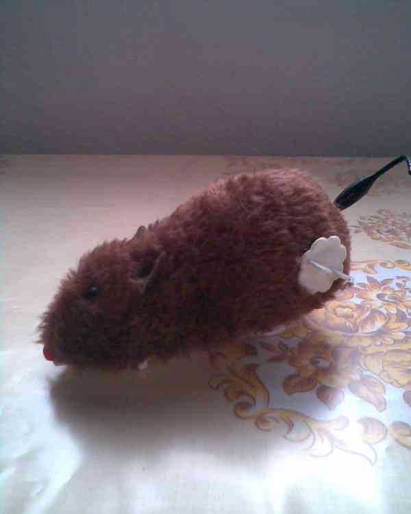 Nové hračky pro kočičku - foto 5