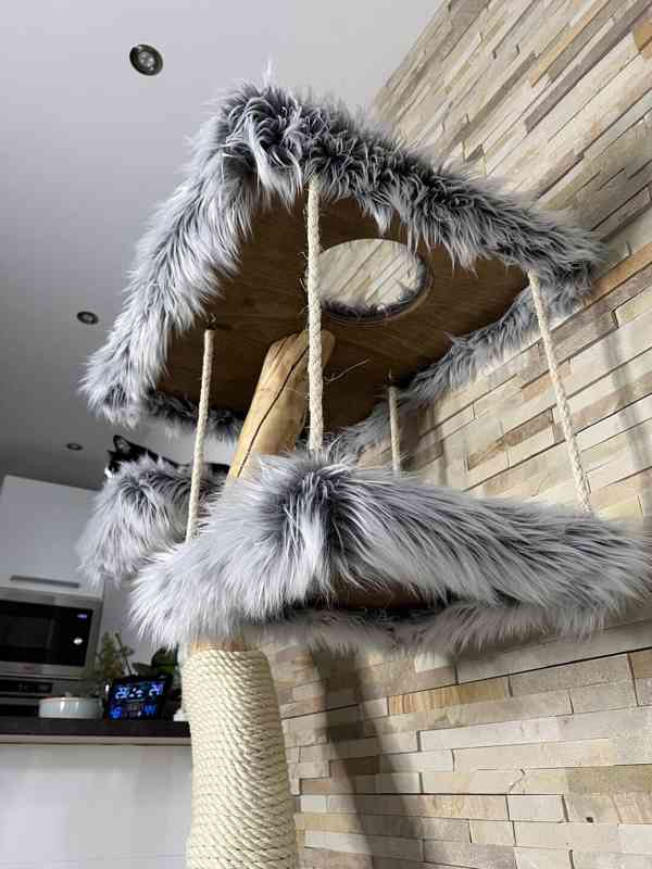 Kočičí strom  - foto 2