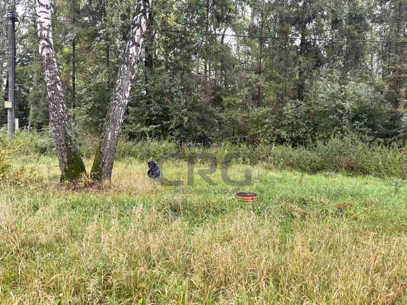 NABÍDKA POZEMKŮ  U ŽERMANICKÉ PŘEHRADY V OBCI LUČINA - foto 8