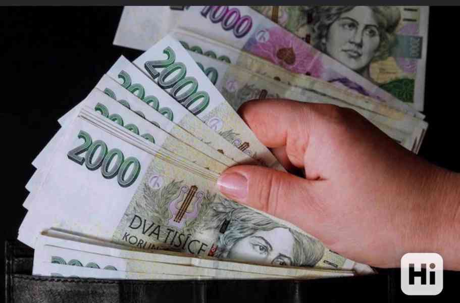 Finanční pomoc od soukromého investora