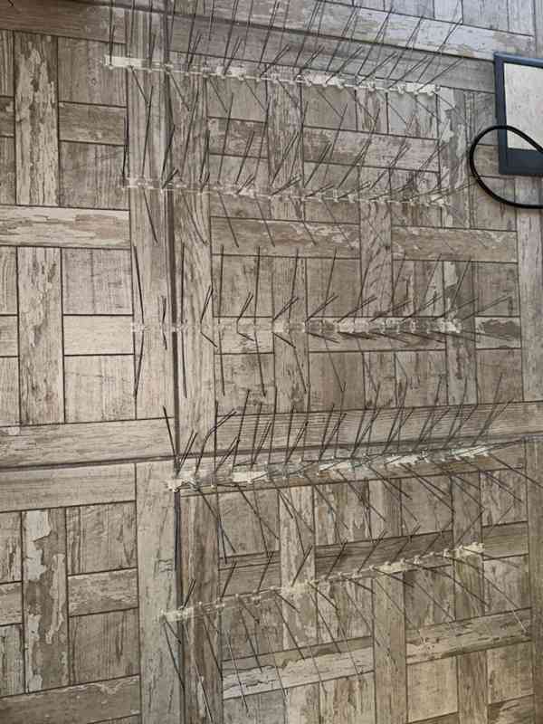 Hroty ochranné proti holubům - foto 2