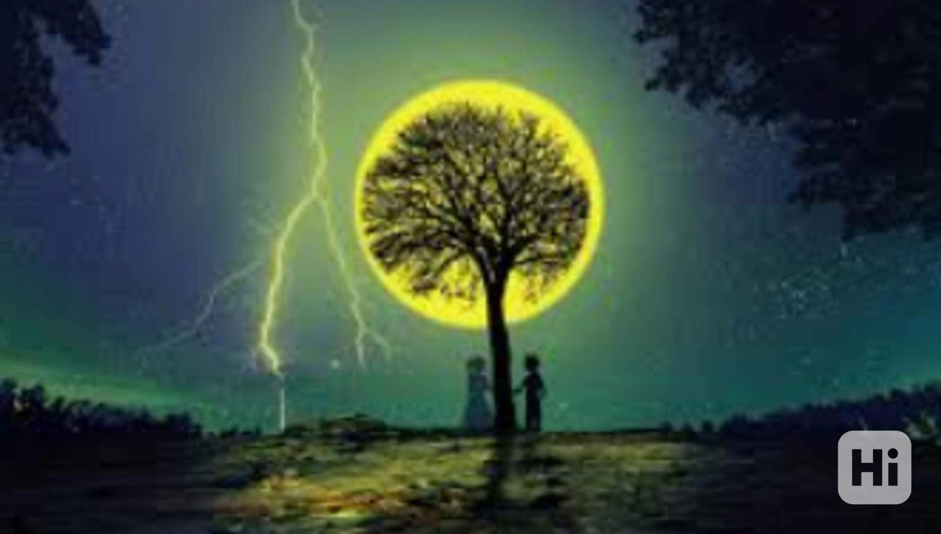 vdfvdfdfdxfvv - foto 1