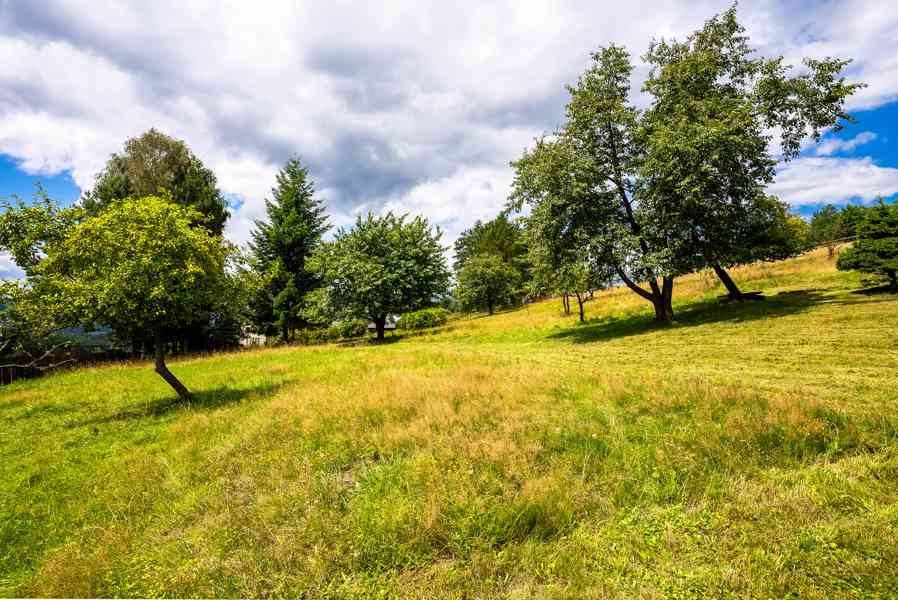 Prodej- chalupa Jetřichovice-Rynartice, se zahradou 3.110 m2 - foto 6