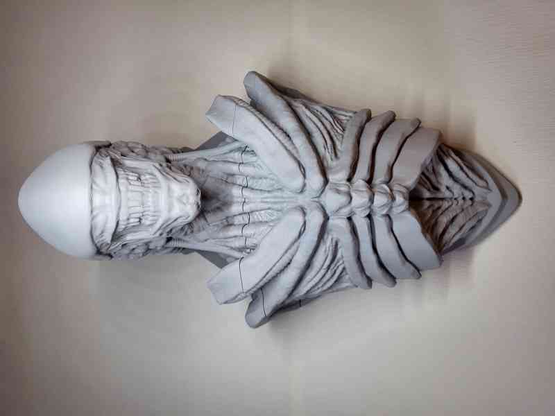 3D socha Aliena/Xenomorpha na zeď - foto 2