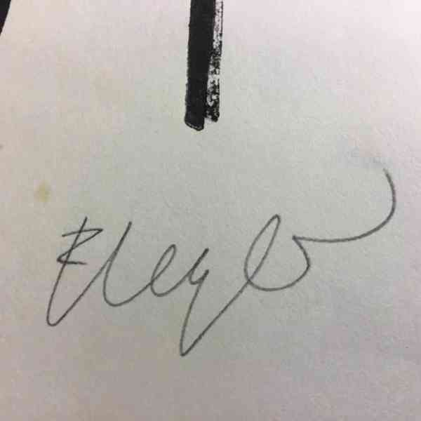 Grafický list Fernand Leger orig. litografie - foto 2