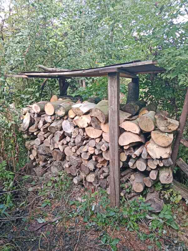Palivové dřevo - foto 2