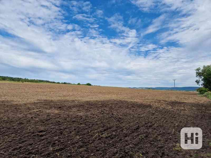 Zemědělská půda nedaleko Hořovic o celkové výměře 20.782 m2 - foto 5