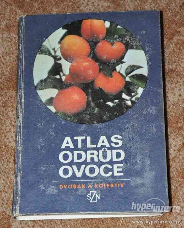 kniha Atlas odrůd ovoce (1978) - foto 1
