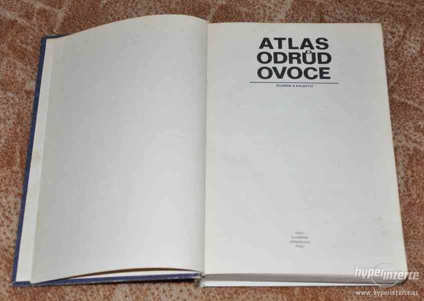 kniha Atlas odrůd ovoce (1978) - foto 3