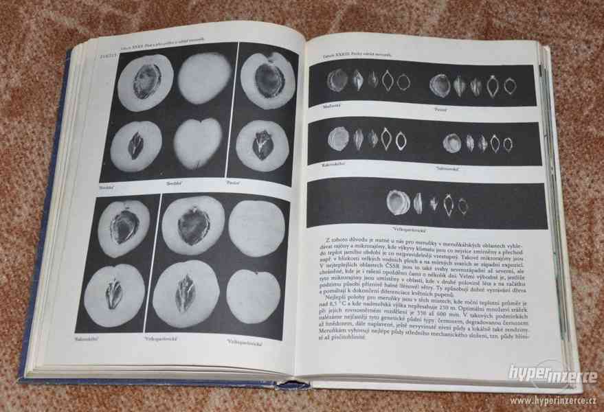 kniha Atlas odrůd ovoce (1978) - foto 5