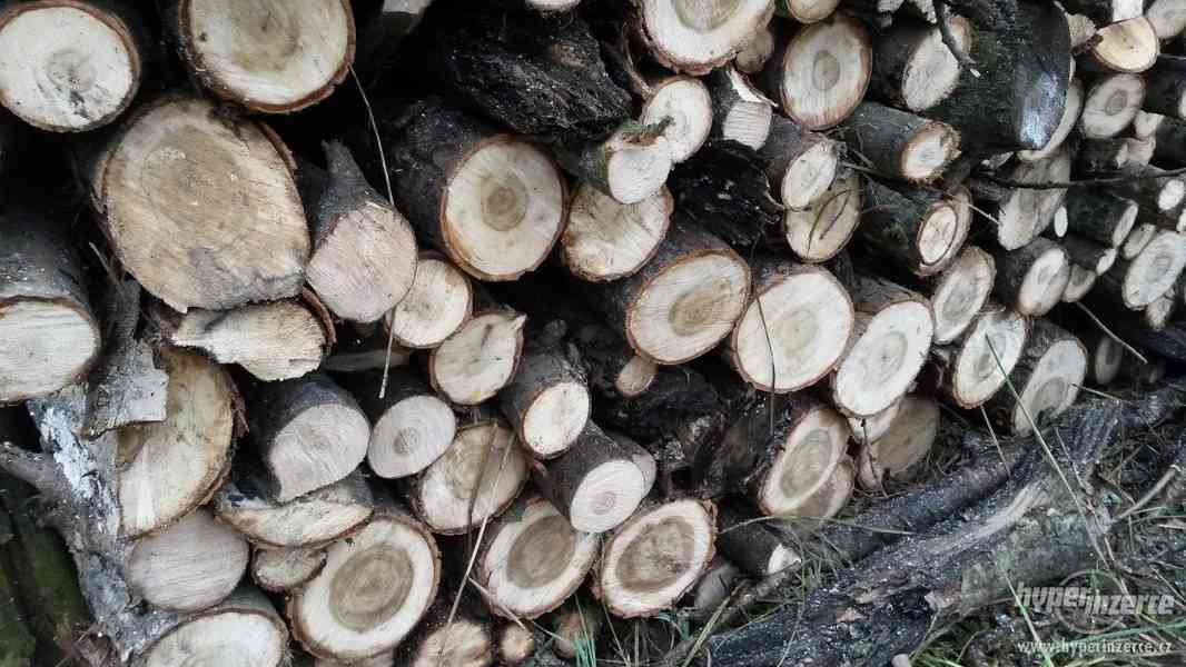 Palivove dřevo levné od 450Kč - foto 1