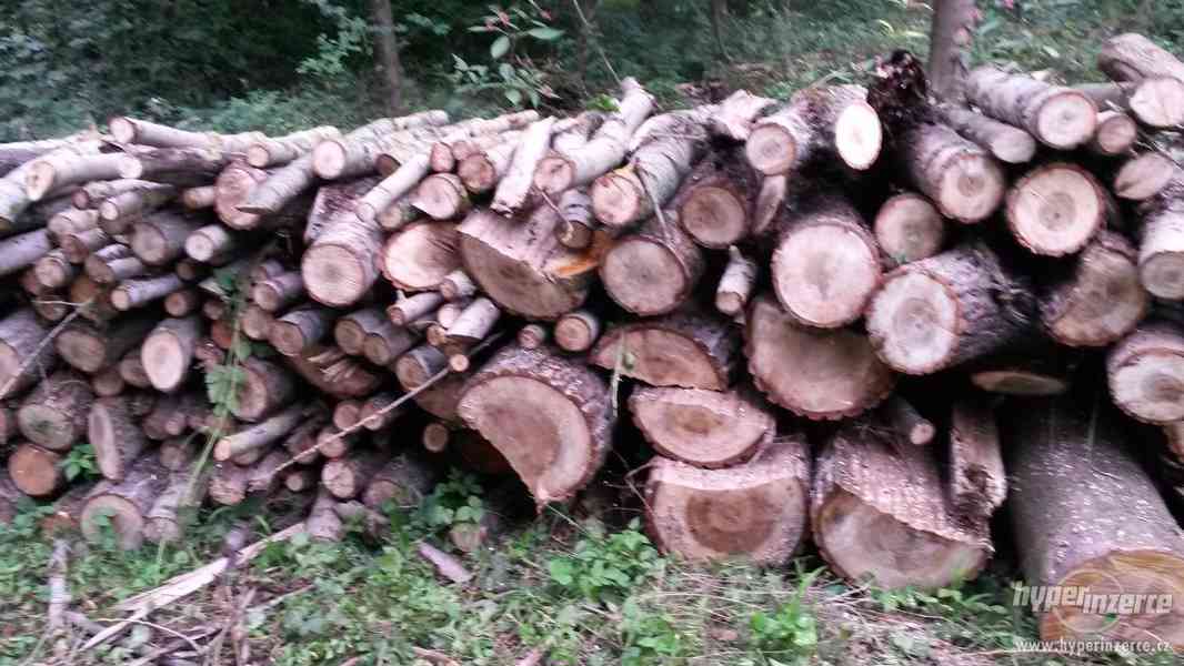 Palivove dřevo levné od 450Kč - foto 2