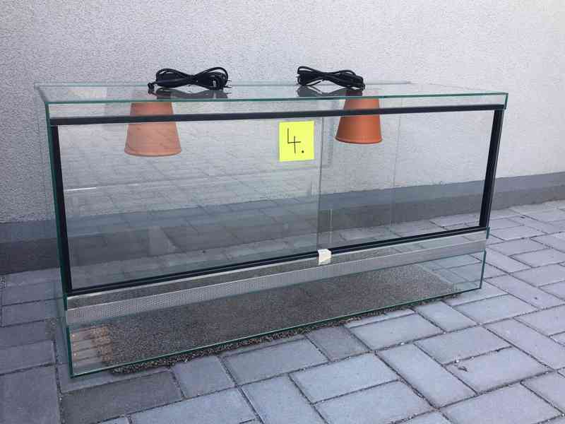 želva pardálí Geochelone pardalis - foto 6