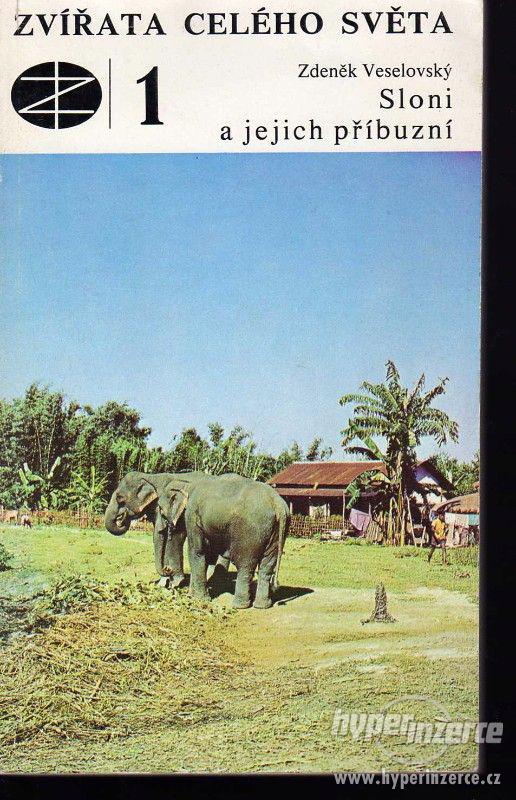 Sloni a jejich příbuzní  Zdeněk Veselovský 1977 - 1.vydání - foto 1