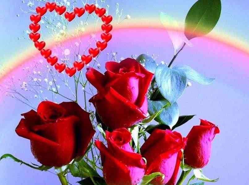 dcv  vvccdc - foto 1