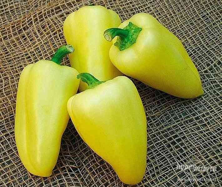 paprika Citrina - semena - foto 1
