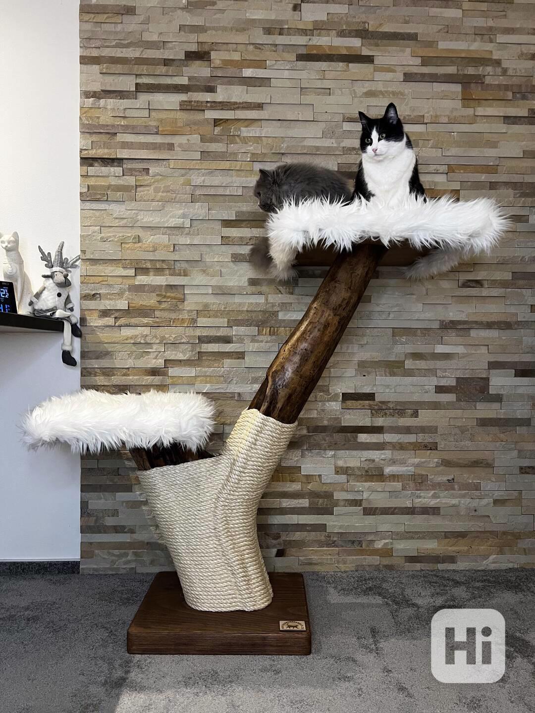 Škrabadla pro kočky  - foto 1