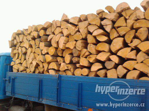 Prodám palivové dřevo - foto 9