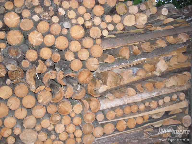 Prodám palivové dřevo suché-smrk,  borovice - foto 1