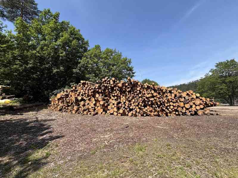 Prodej vytěženého netříděného dříví (227 m3) - foto 7