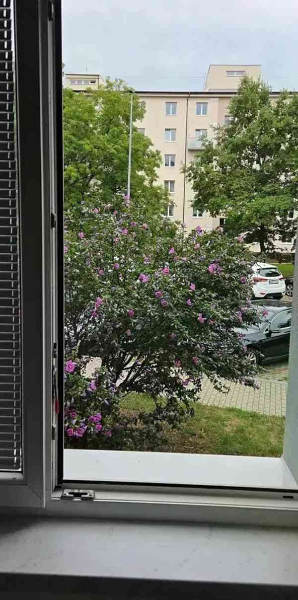 Pronájem bytu 1+kk 24 m² - foto 9